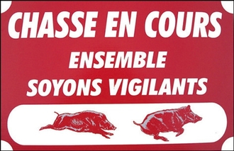 Chasse - TIRS DES SANGLIERS