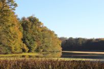 Sentier de randonnée à Chavannes-sur-l'Etang