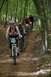 Parcours VTT (Crédit photo : Guy BUCHHEIT) Parcours VTT (Crédit photo : Guy BUCHHEIT)